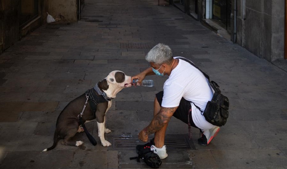 Un hombre da de beber al perro ante las altas temperaturas.